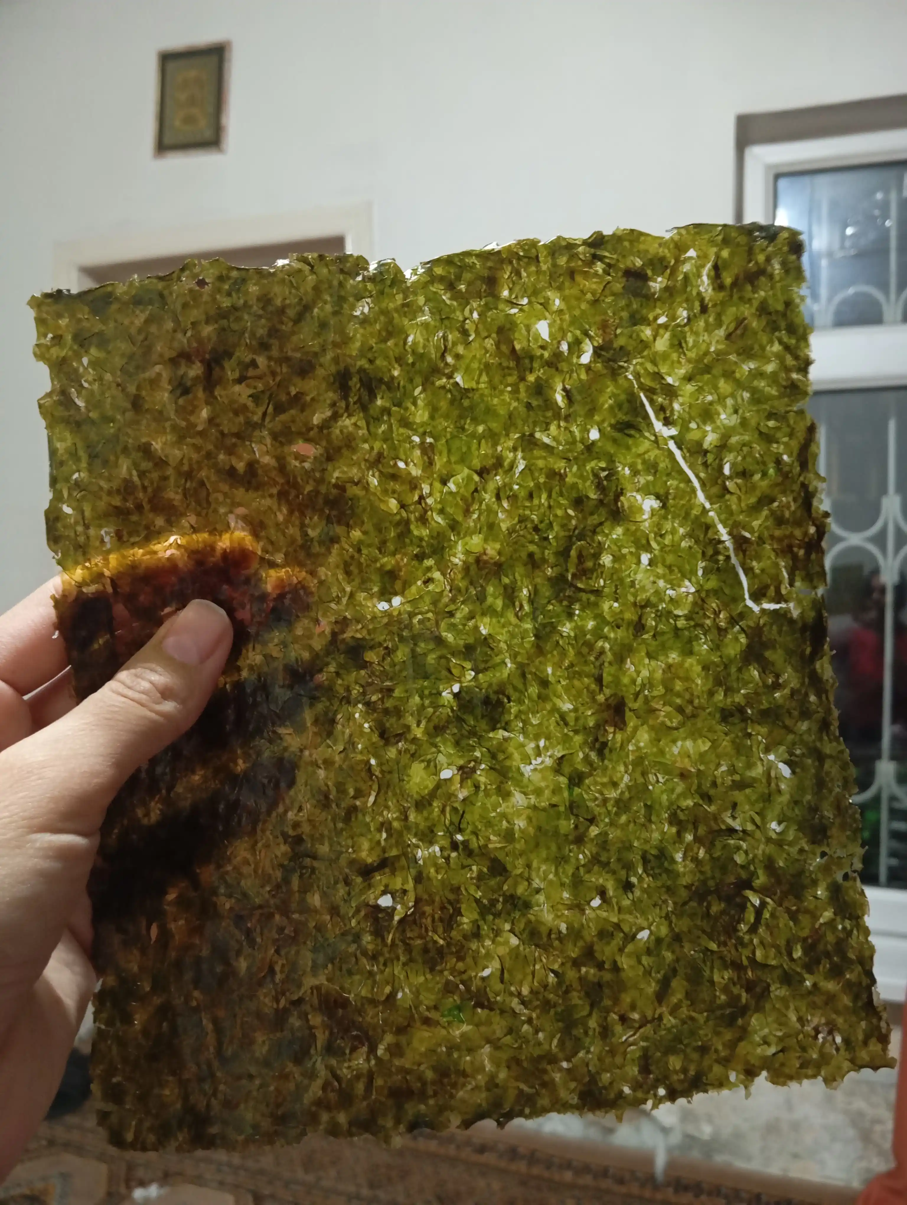 Dengiz o'tlari kimchi "Sushi-Nori" paket 20 g, 10 varaq