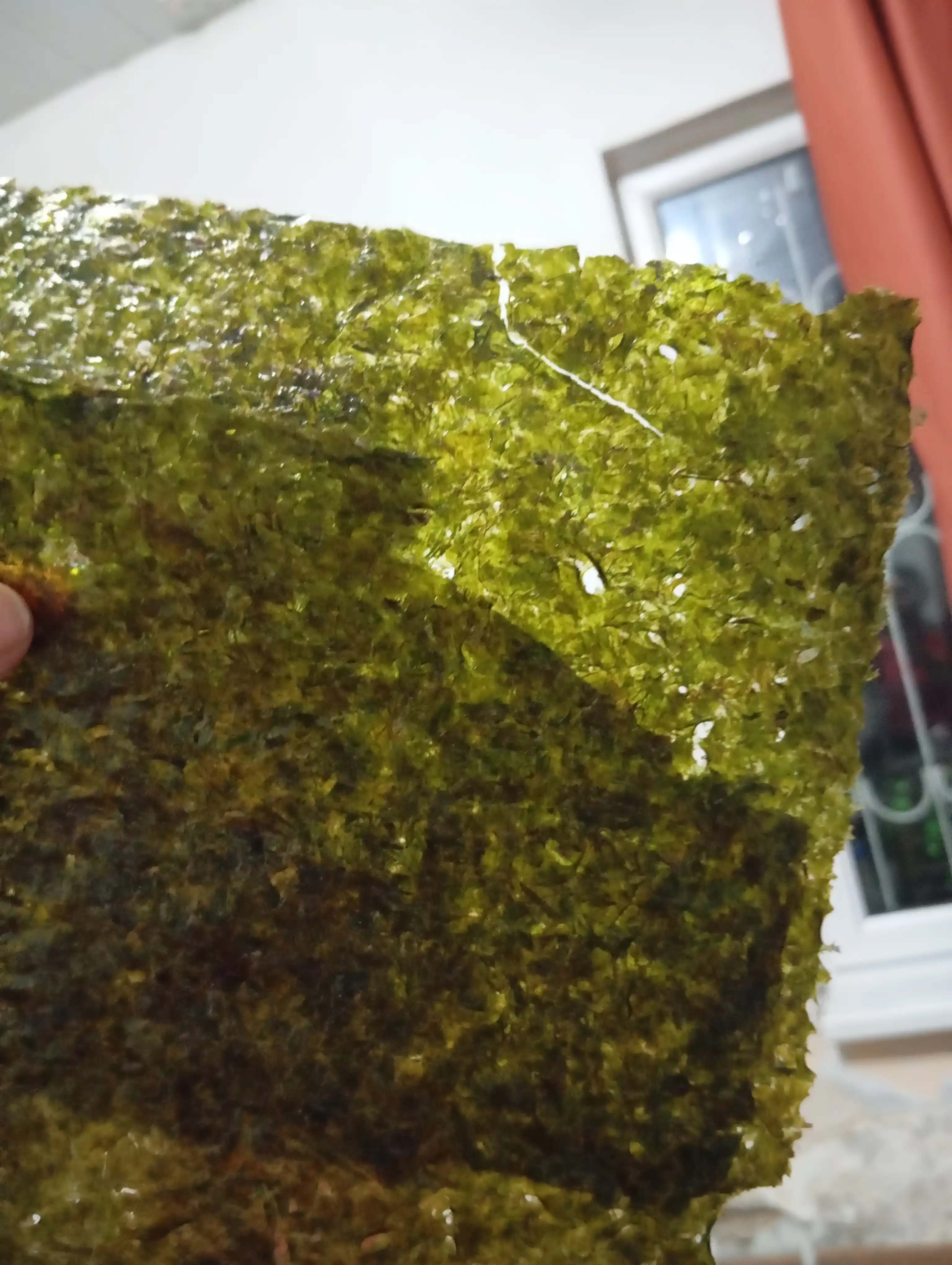 Dengiz o'tlari kimchi "Sushi-Nori" paket 20 g, 10 varaq