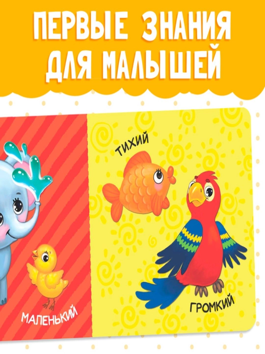 Картонная книга для малышей, 10 стр, азбука, животные, цифры, транспорт, фрукты, овощи