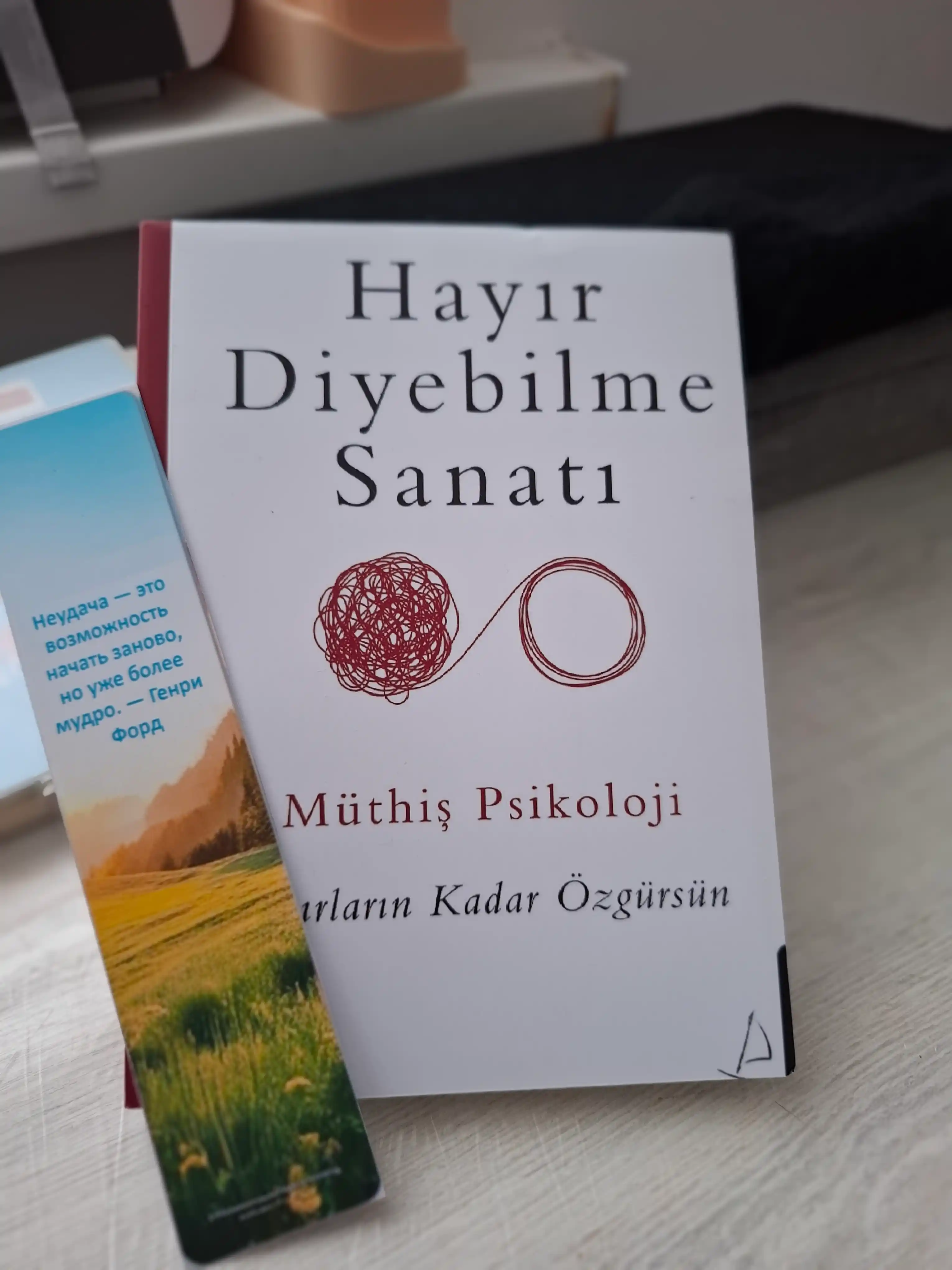 Hayir diyebilme sanati. Muthis Psokoloji (Книга на турецком языке)