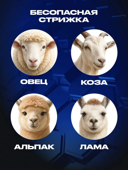 Машинка для стрижки овец СЛАВМАШ C5249, 1200 Вт, 2800 об/мин, 220 В, кабель: 5 м
