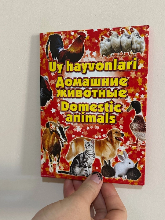 Развивающие карточки для детей – карточки с картинками, словами и цифрами - 