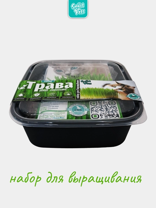 Smart Pets mushuk o'ti – yung g'uddalarini chiqaradi, ko'kat yetishtirish to‘plami, 130 g