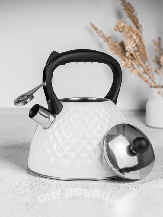 Чайник Haus Roland 3.0L. Подходит для всех типов плит, матовая поверхность