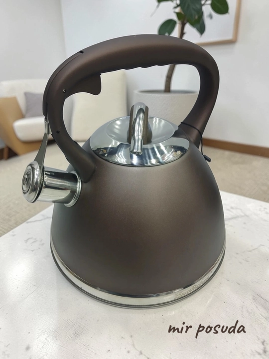 Чайник Haus Roland 3.0L. Подходит для всех типов плит, матовая поверхность