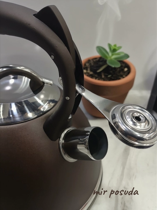 Чайник Haus Roland 3.0L. Подходит для всех типов плит, матовая поверхность