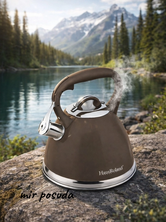 Чайник Haus Roland 3.0L. Подходит для всех типов плит, матовая поверхность