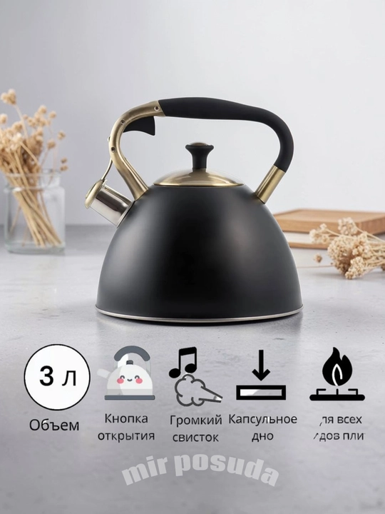 Чайник Haus Roland 3.0L. Подходит для всех типов плит, матовая поверхность