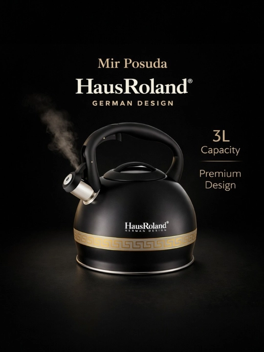 Чайник Haus Roland 3.0L. Подходит для всех типов плит, матовая поверхность