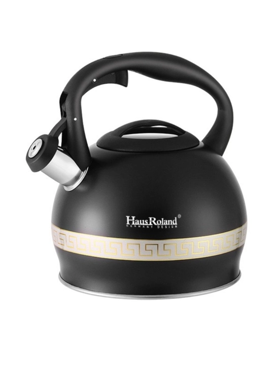 Чайник Haus Roland 3.0L. Подходит для всех типов плит, матовая поверхность