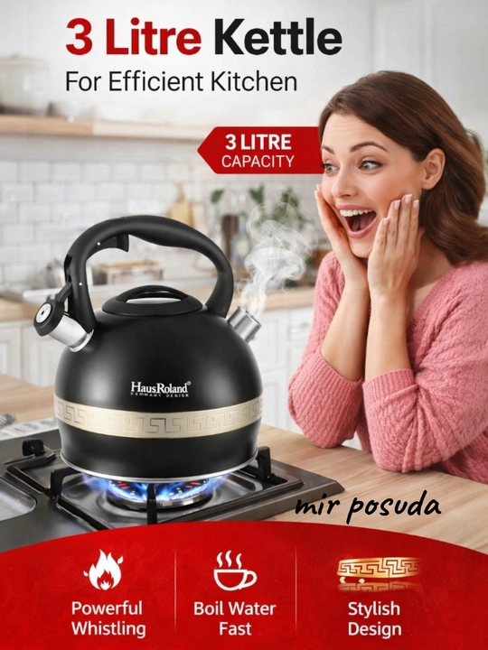 Чайник Haus Roland 3.0L. Подходит для всех типов плит, матовая поверхность