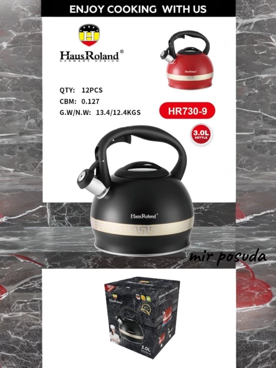 Чайник Haus Roland 3.0L. Подходит для всех типов плит, матовая поверхность