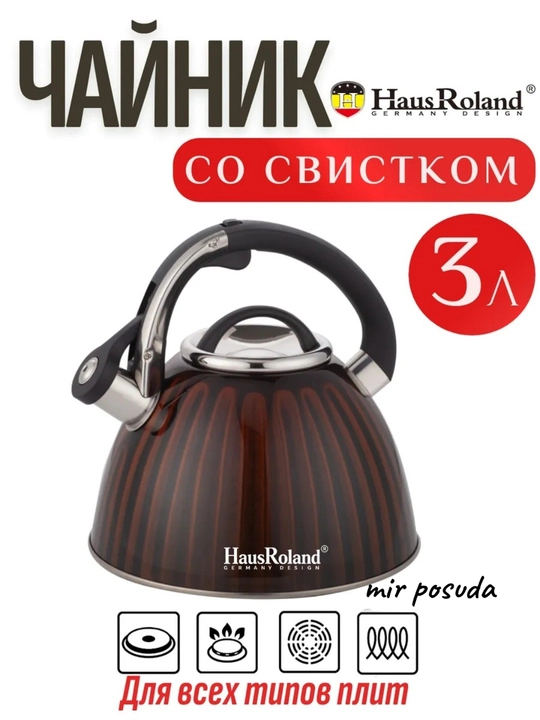 Haus Roland 3.0L choynak — zanglamaydigan po‘lat, hushtakli