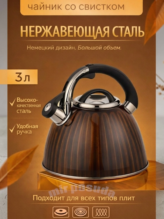 Haus Roland 3.0L choynak — zanglamaydigan po‘lat, hushtakli