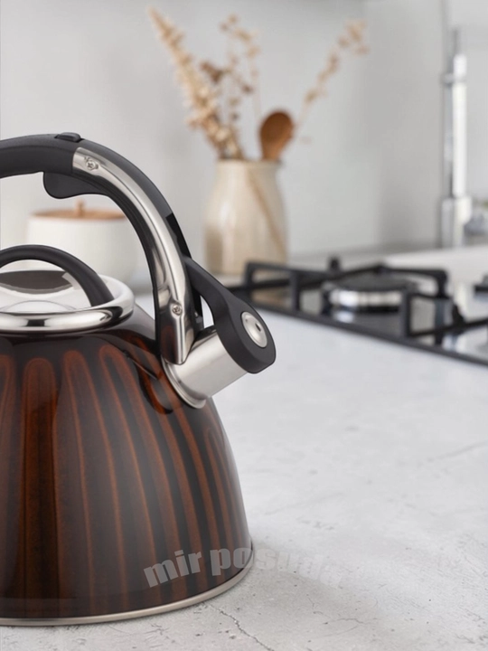 Haus Roland 3.0L choynak — zanglamaydigan po‘lat, hushtakli