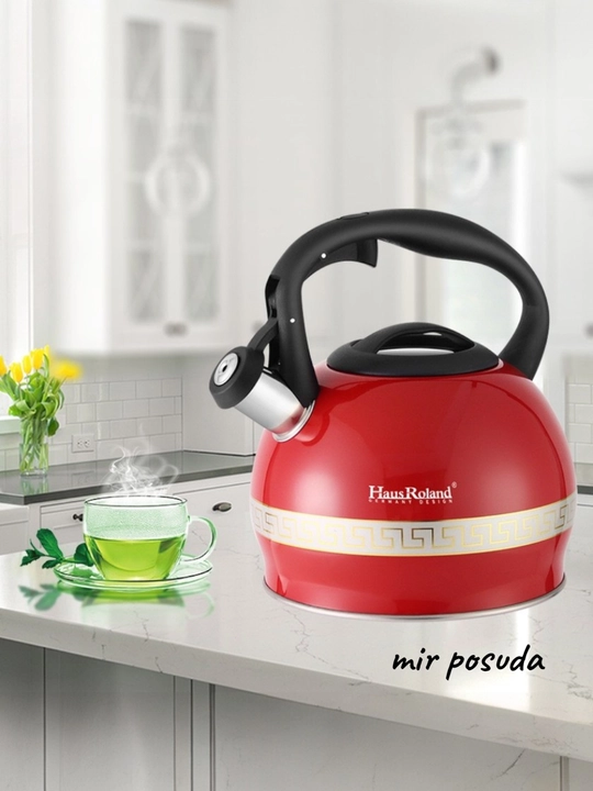 Haus Roland 3.0L choynak — zanglamaydigan po‘lat, hushtakli