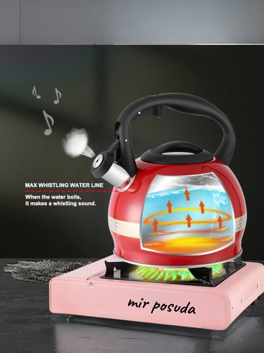 Haus Roland 3.0L choynak — zanglamaydigan po‘lat, hushtakli