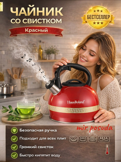 Haus Roland 3.0L choynak — zanglamaydigan po‘lat, hushtakli - 