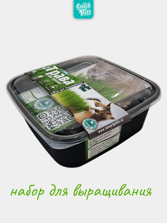 Mushuklar o'ti Smart Pets – yung g'uddalarini chiqaradi, mushuklar uchun shirinlik, 130 g