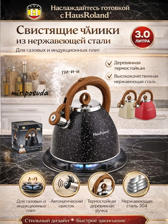 Haus Roland 3.0L choynak — zanglamaydigan po‘lat, hushtakli - 