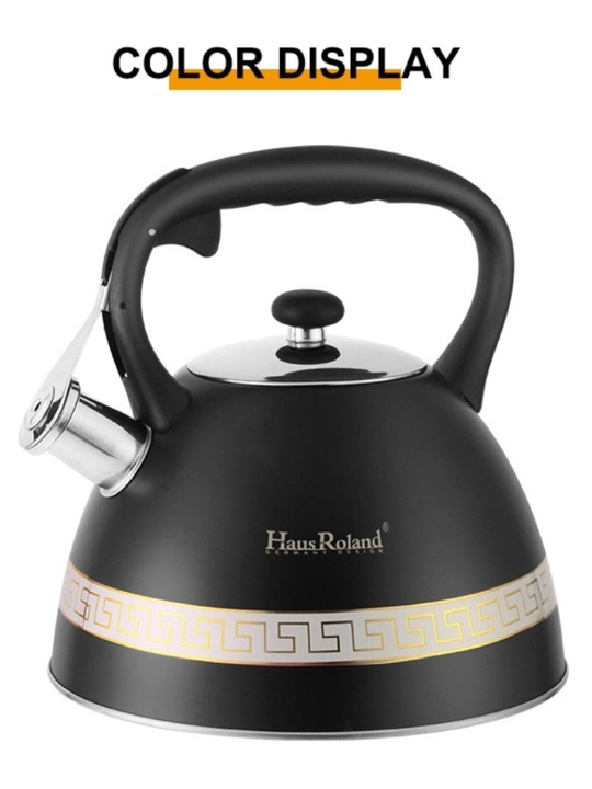 Чайник Haus Roland 3.0L. Подходит для всех типов плит, матовая поверхность