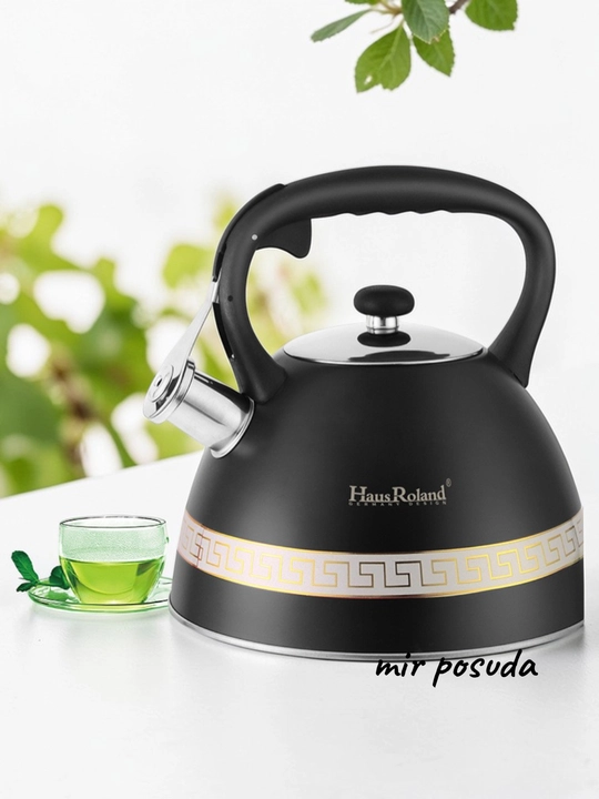 Чайник Haus Roland 3.0L. Подходит для всех типов плит, матовая поверхность