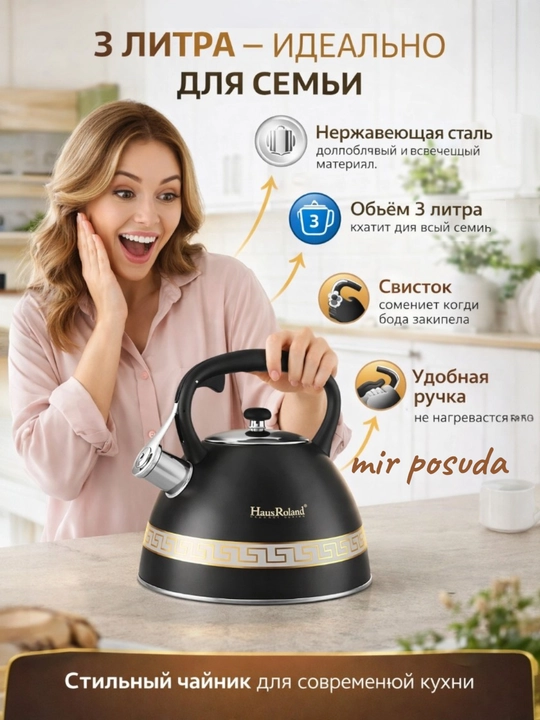 Чайник Haus Roland 3.0L. Подходит для всех типов плит, матовая поверхность
