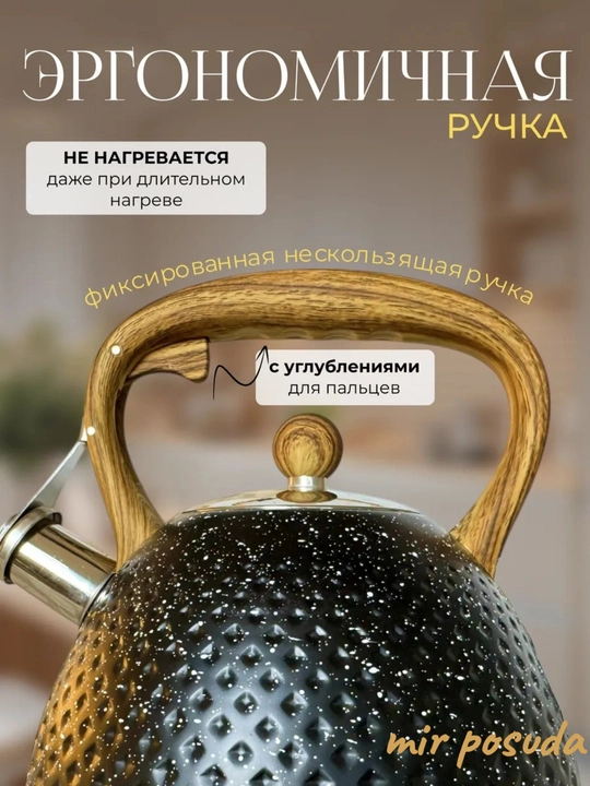 Чайник Haus Roland 3.0L. Подходит для всех типов плит, матовая поверхность
