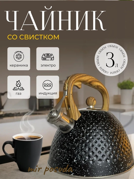 Чайник Haus Roland 3.0L. Подходит для всех типов плит, матовая поверхность