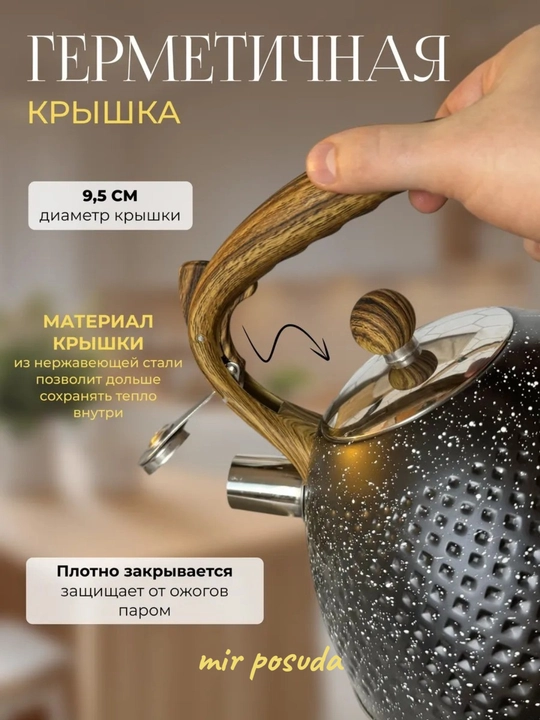Чайник Haus Roland 3.0L. Подходит для всех типов плит, матовая поверхность