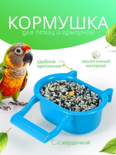 Moviy