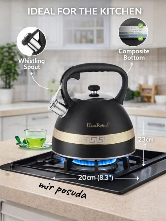 Чайник Haus Roland 3.0L. Подходит для всех типов плит, матовая поверхность