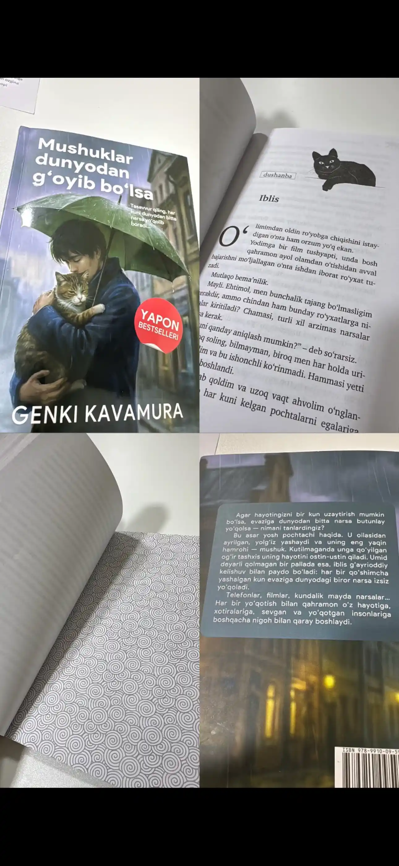 Если все кошки в мире исчезнут, Генки Кавамура