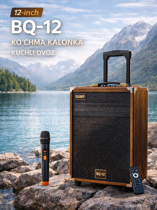Караоке колонка B-Q12, 50 Вт, Bluetooth, с микрофоном, на колёсиках - 