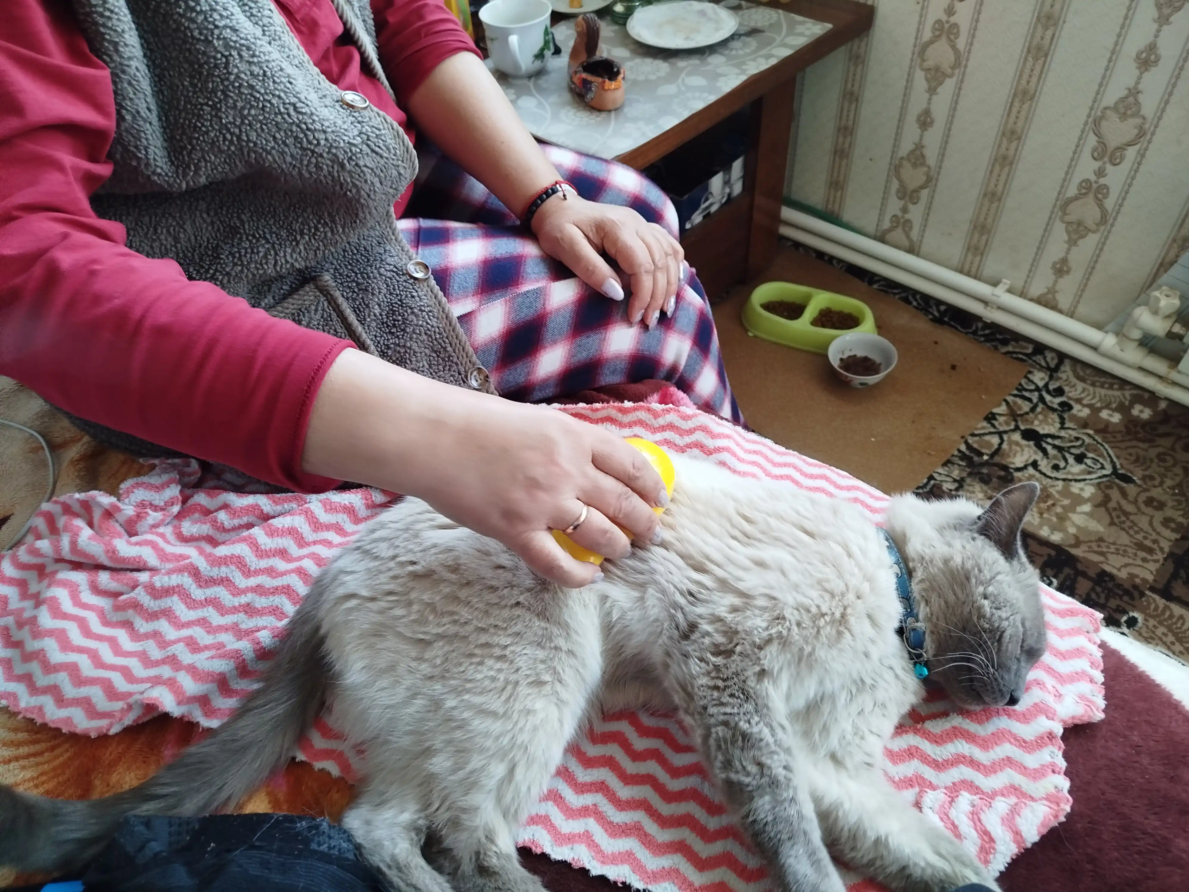 Паровая щетка для собак и кошек