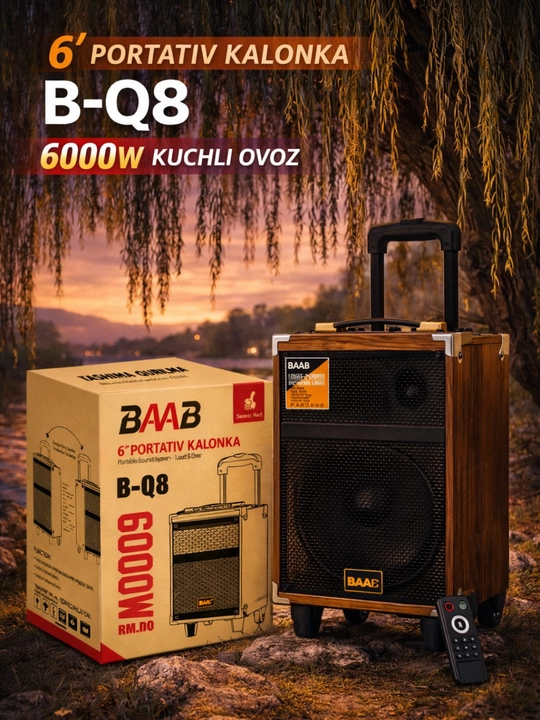 Karaoke Bluetooth karnay BQ-8, mikrofon va kuchli ovoz bilan - 