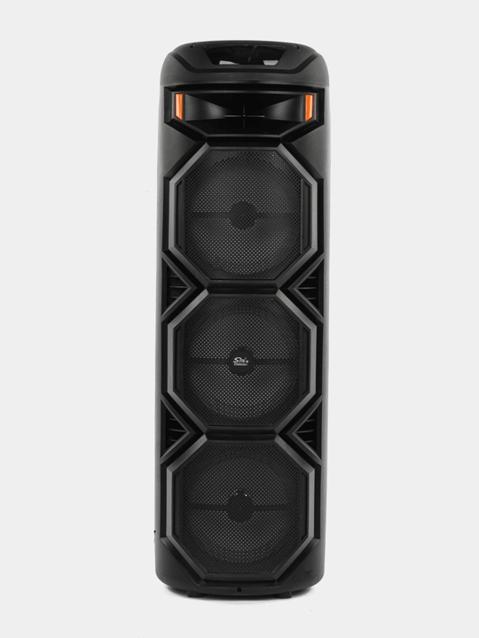 Portativ karnay, Bluetooth simsiz karaoke, mikrofonli, masofadan boshqarish pulti bilan