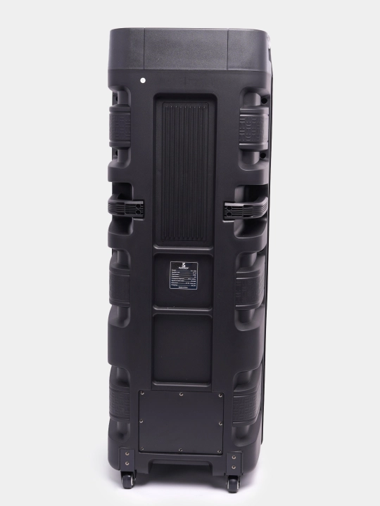 Katta Bluetooth simsiz karnay, karaoke, RGB yoritish, mikrofon va pult bilan