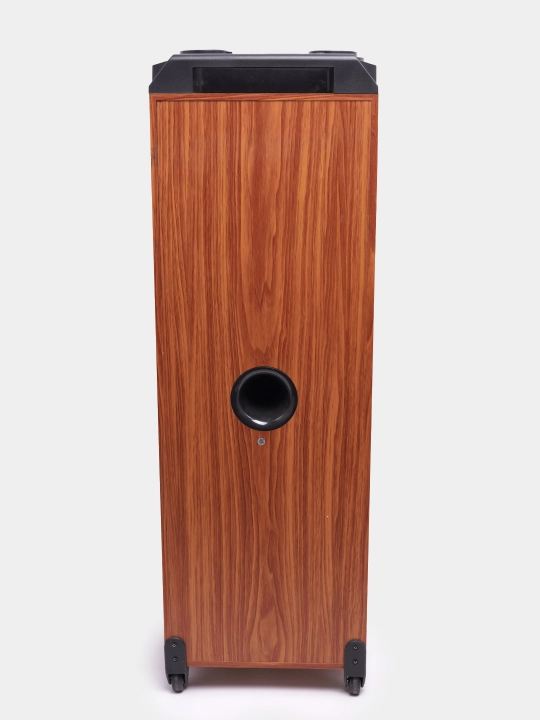 Katta Bluetooth simsiz karnay, karaoke, RGB yoritish, mikrofon va pult bilan