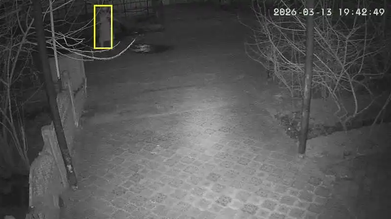 Aqlli PTZ kamera ko‘cha va uy uchun Wi-Fi kuzatuv kamerasi