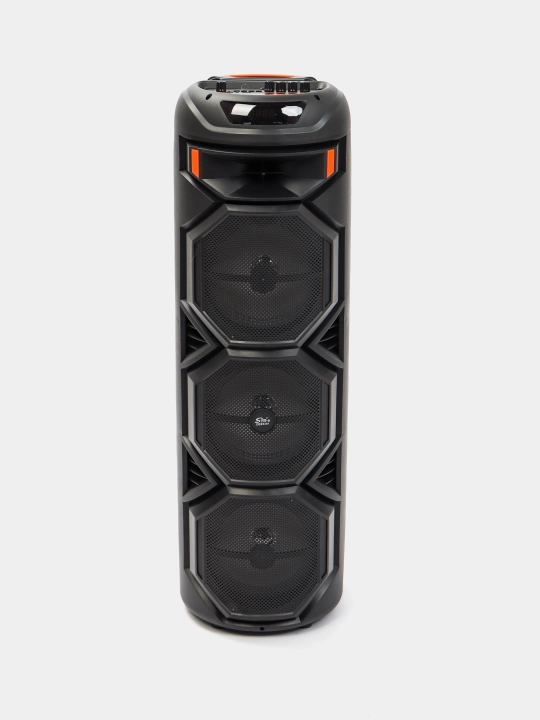 Bluetooth колонка Sing-e ZQS8301, караоке с микрофоном и мощным басом
