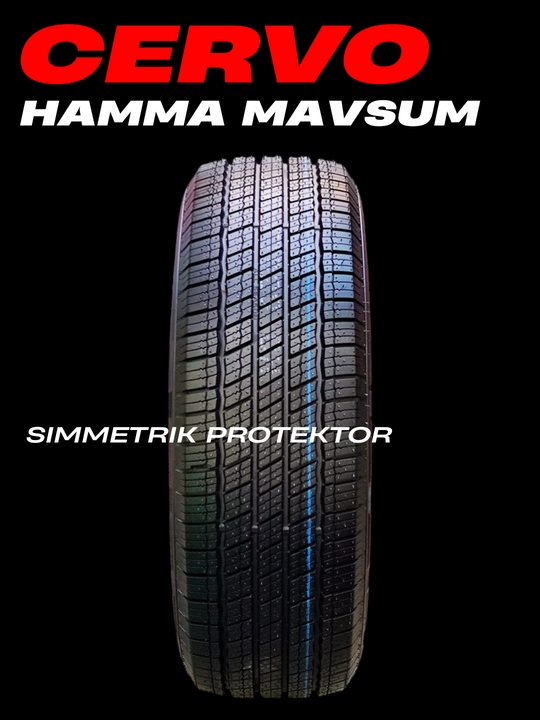 Shina CERVO, barcha mavsumiy