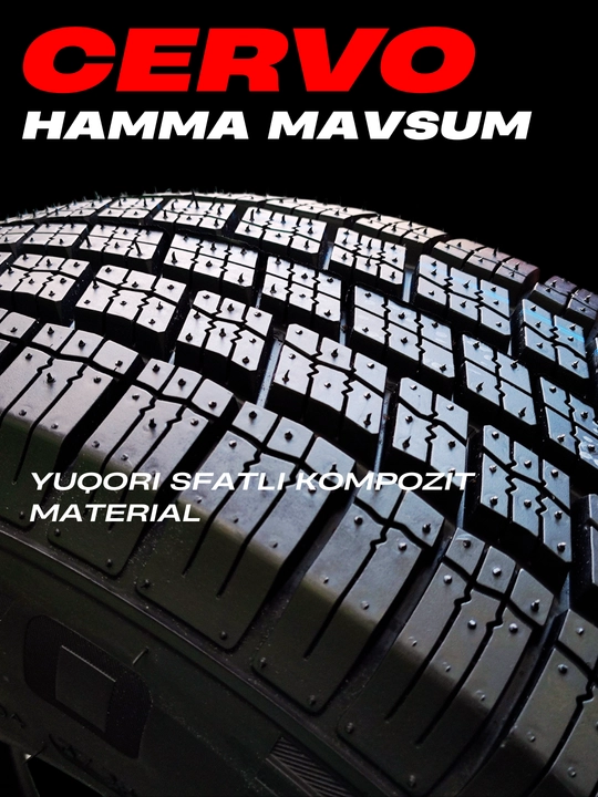 Shina CERVO, barcha mavsumiy