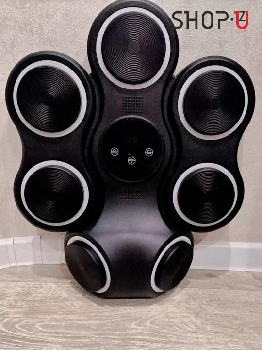 Aqlli musiqiy boks bo'yicha o'quv mashinasi, elektron devor nishoni