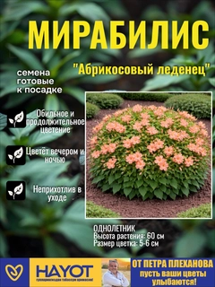 Оранжевый