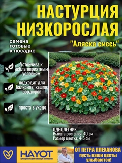 Оранжевый