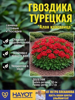 Алый