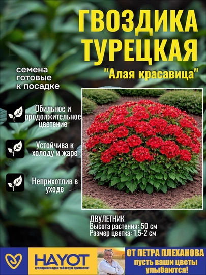 Семена гвоздики от Петра Плеханова: Турецкая, Китайская, Пиноккио, Алая красавица, Белая — TPP-ГВОЗДИКА-АЛЫЙ