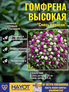 Fuksiya