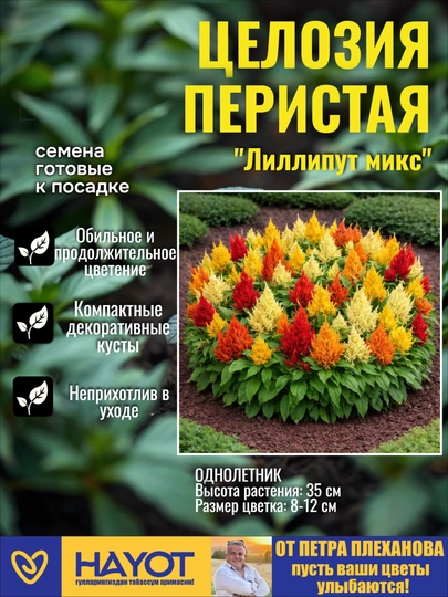 Семена цветов от Петра Плеханова: Цинния, Петуния, Портулак, Нигелла, Гомфрена, Целозия — TPP-ОДНОЛЕТНИЕСЕМЕНА-КРАСН